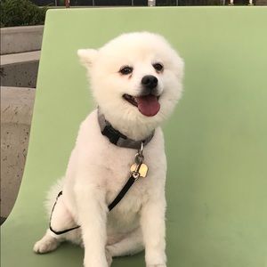 Meet your Posher, Maya